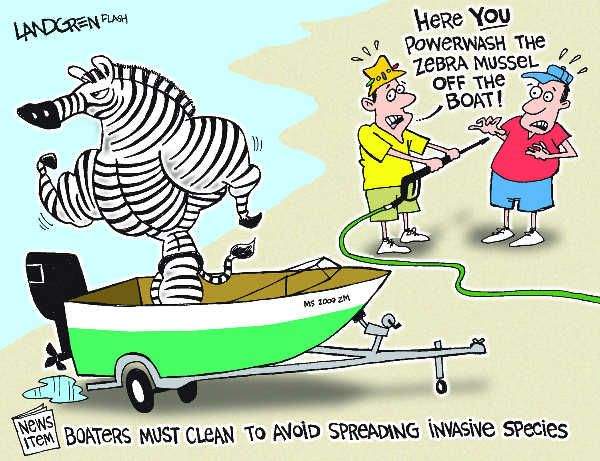 Massachusetts- Zebra Mussel Continues to Make News – Manchaug Pond