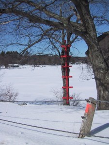 Manchaug Pond Foundation Safety