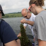 Manchaug Pond Foundation Water Quality