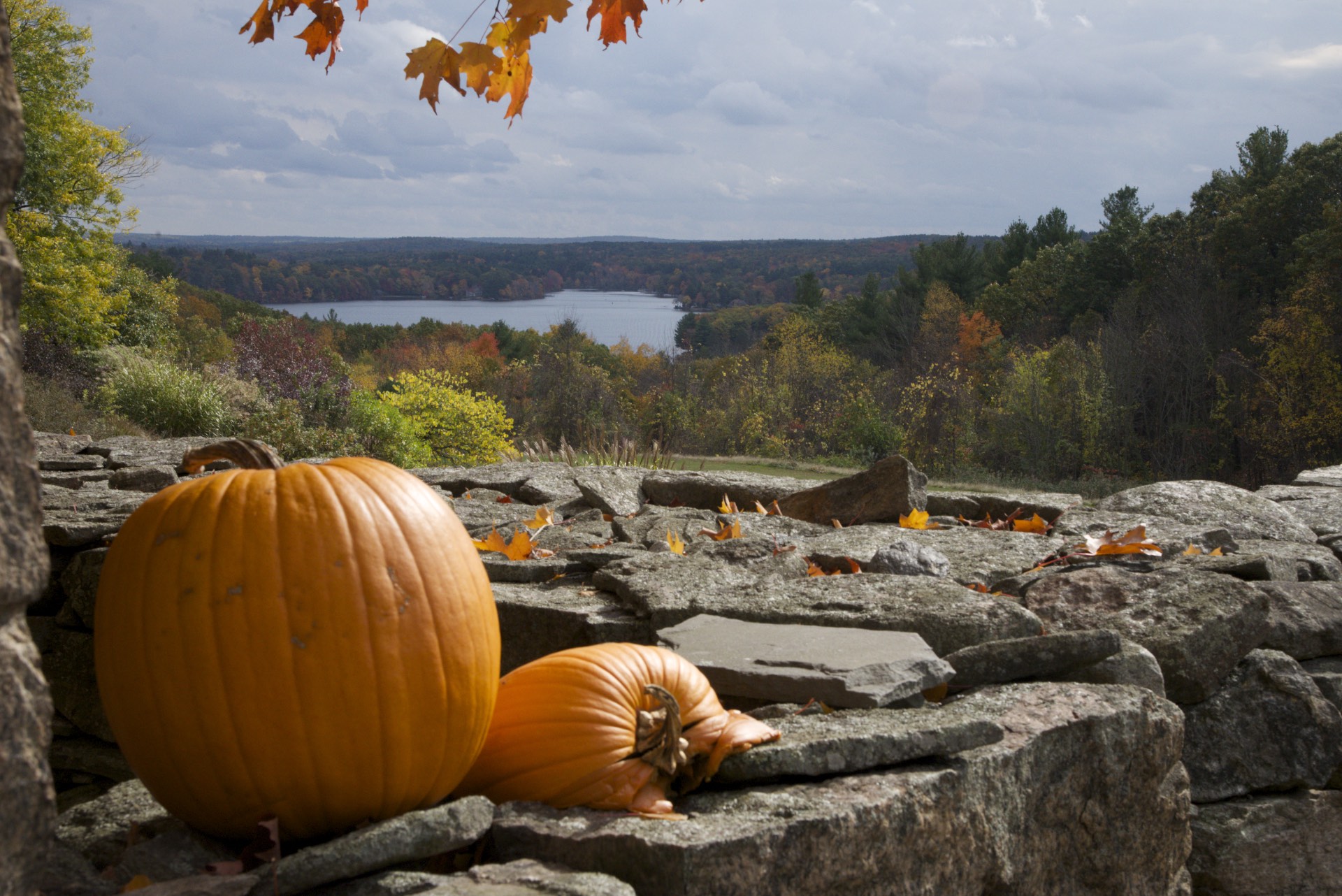 Manchaug Pond Foundation The Voice of Manchaug Pond You have